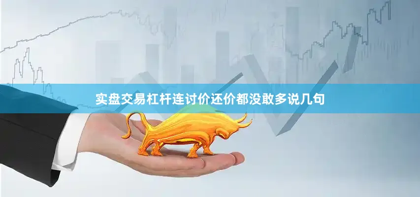 实盘交易杠杆连讨价还价都没敢多说几句